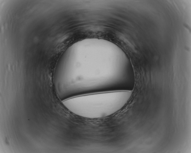 X0000097821013200803140801
