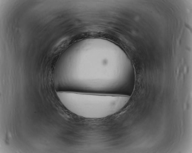 X0000097821014200803140801