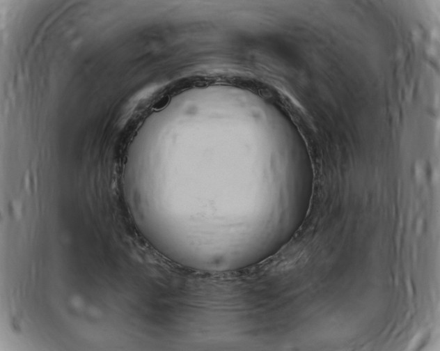 X0000097821016200803140801