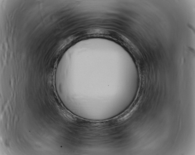 X0000097821017200803140801