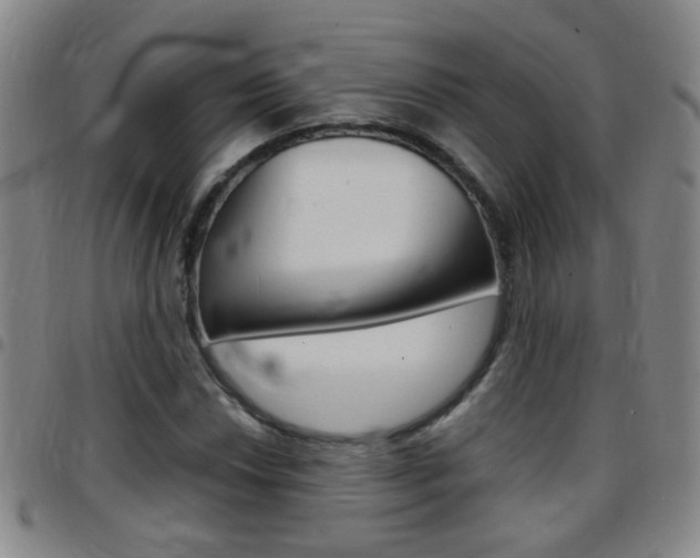 X0000097821018200803140801