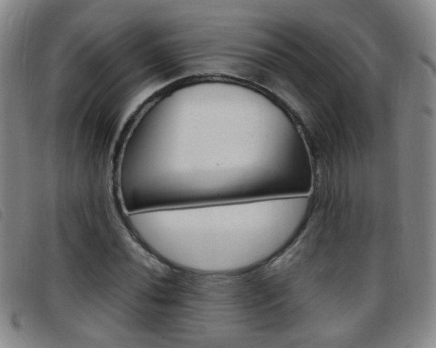 X0000097821020200803140801