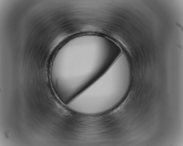 X0000097821022200803140801