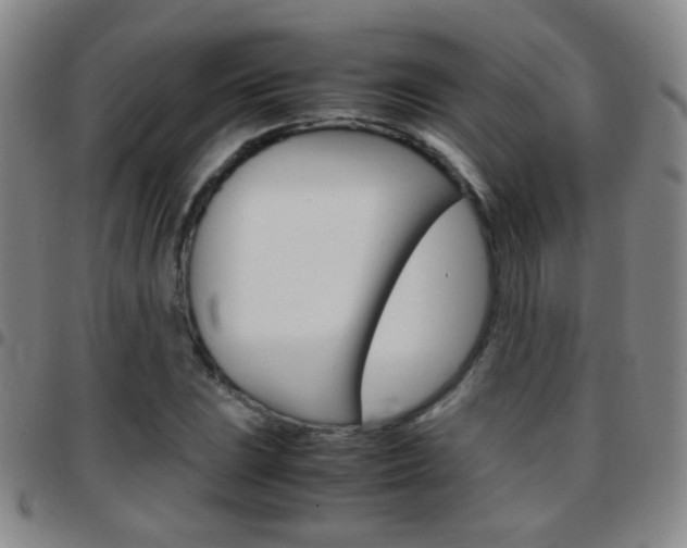X0000097821023200803140801
