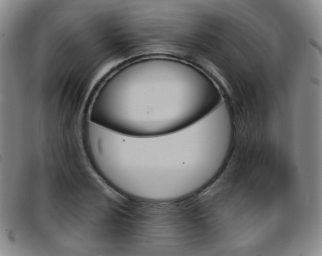 X0000097821024200803140801