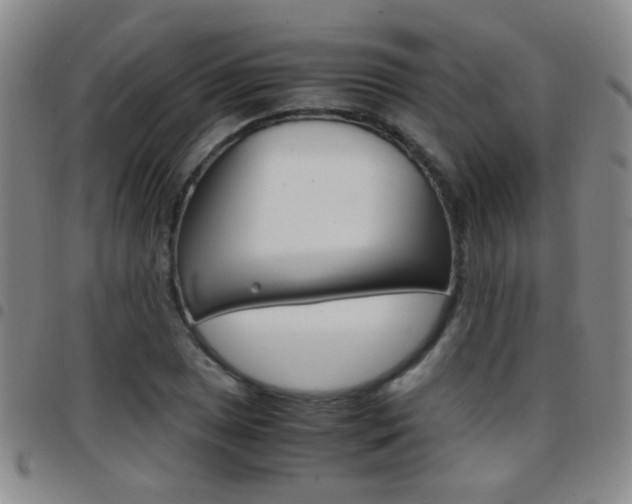 X0000097821025200803140801