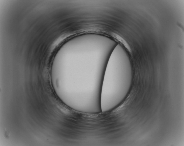 X0000097821027200803140801
