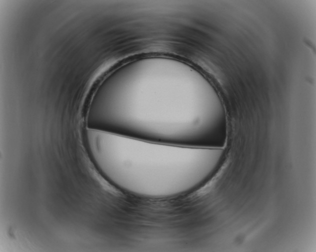X0000097821029200803140801