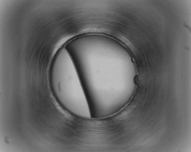X0000097821030200803140801