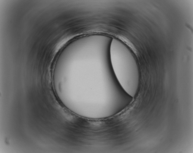 X0000097821031200803140801