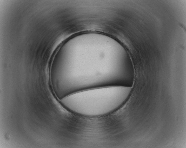 X0000097821032200803140801