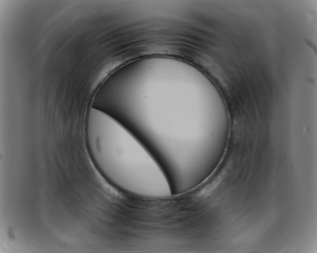 X0000097821033200803140801