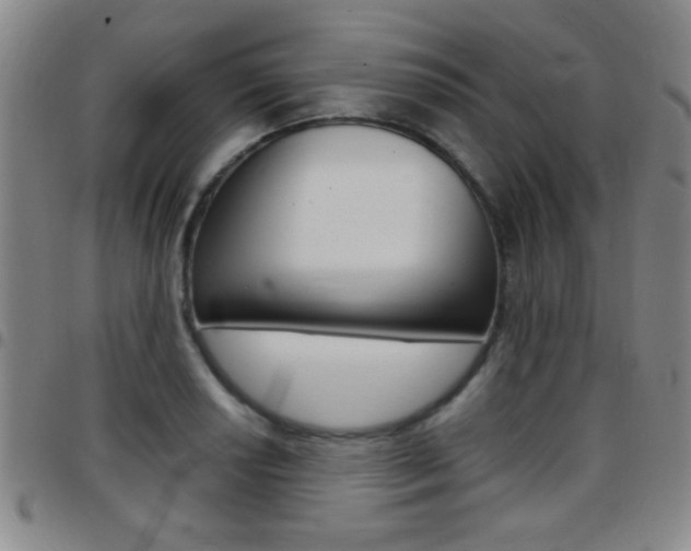 X0000097821034200803140801