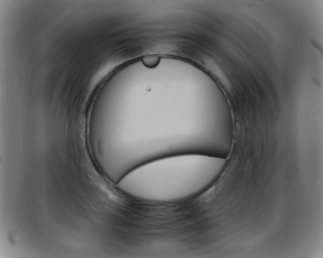 X0000097821035200803140801