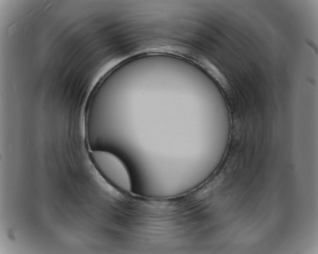 X0000097821036200803140801
