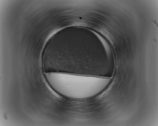 X0000097821037200803140801