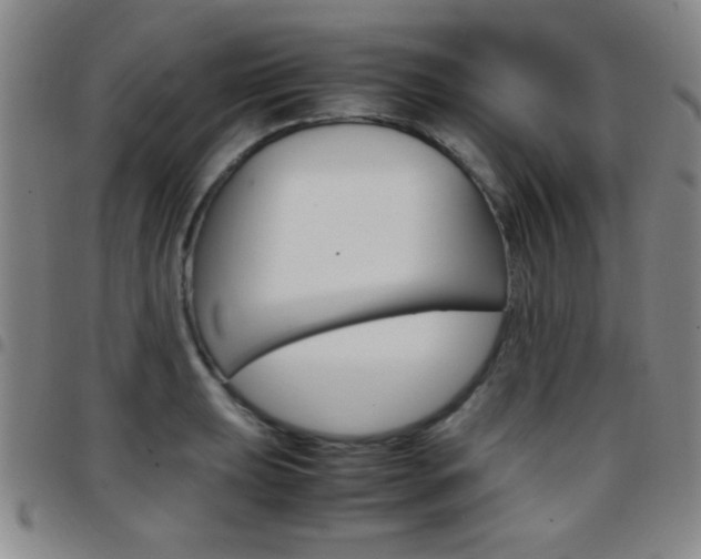 X0000097821039200803140801