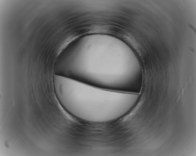 X0000097821041200803140801