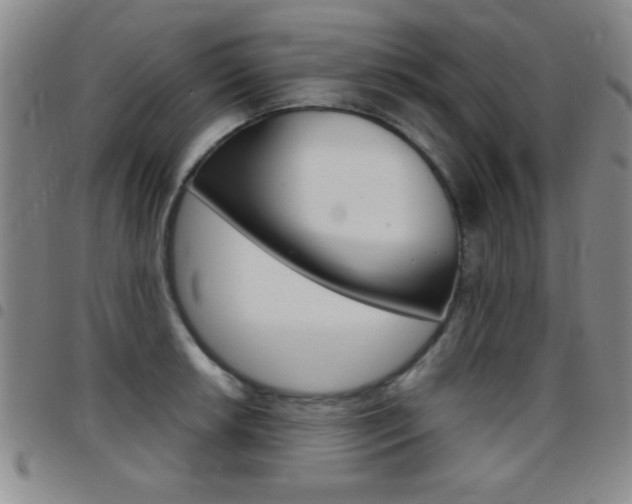 X0000097821042200803140801