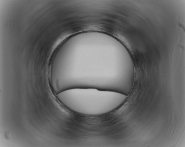 X0000097821043200803140801