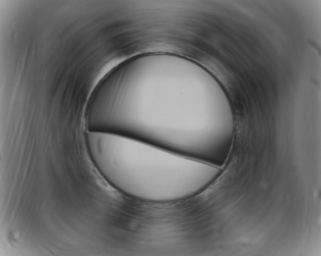 X0000097821044200803140801