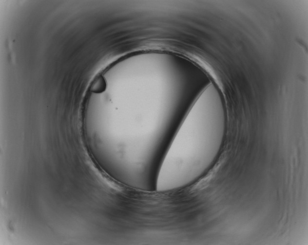 X0000097821045200803140801