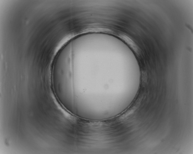 X0000097821046200803140801