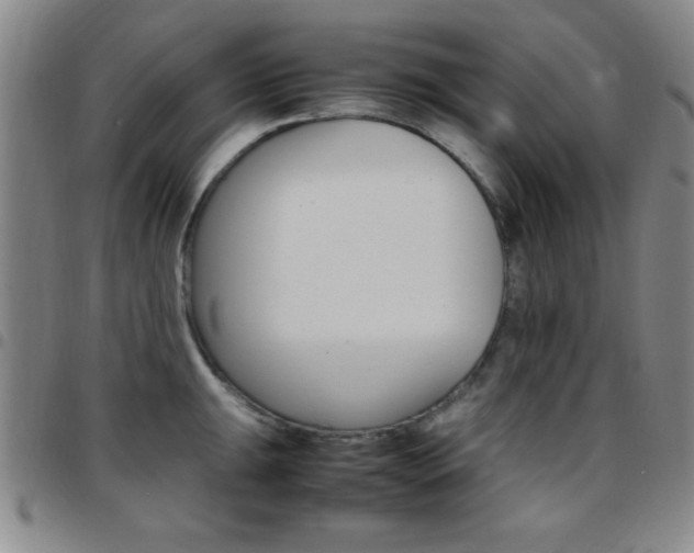 X0000097821047200803140801