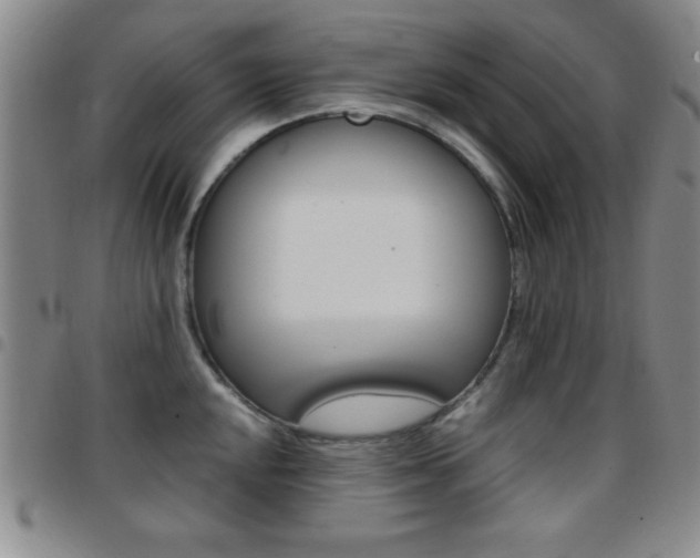 X0000097821048200803140801