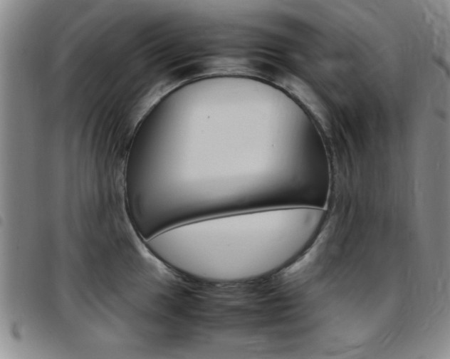 X0000097821049200803140802