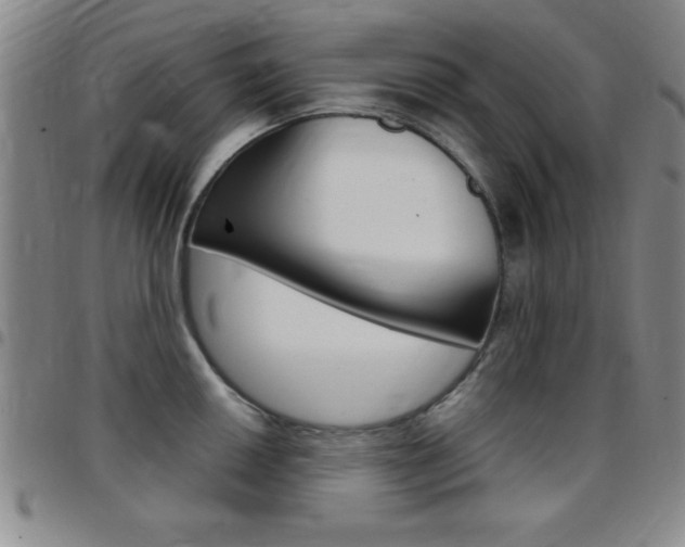 X0000097821050200803140802