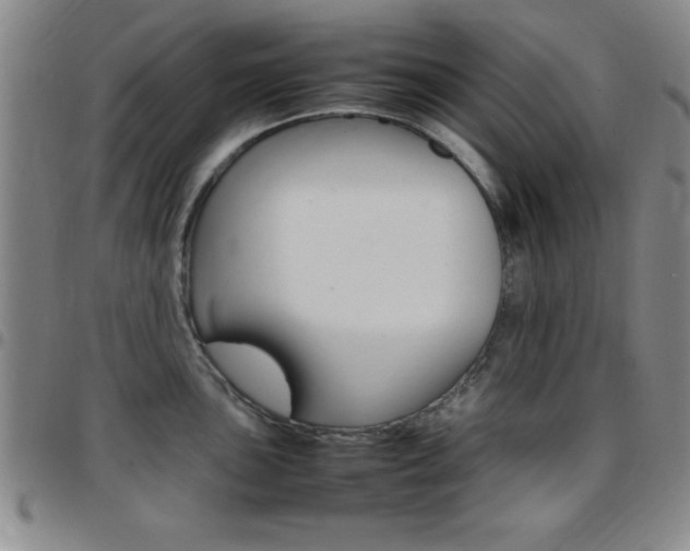 X0000097821051200803140802