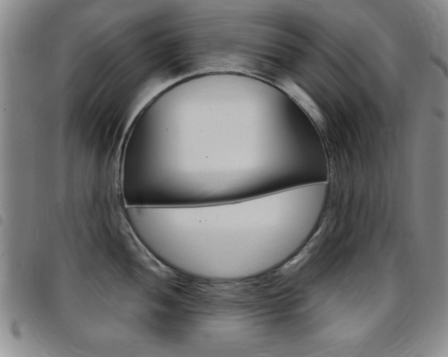 X0000097821052200803140802