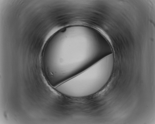X0000097821053200803140802