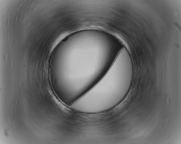 X0000097821054200803140802