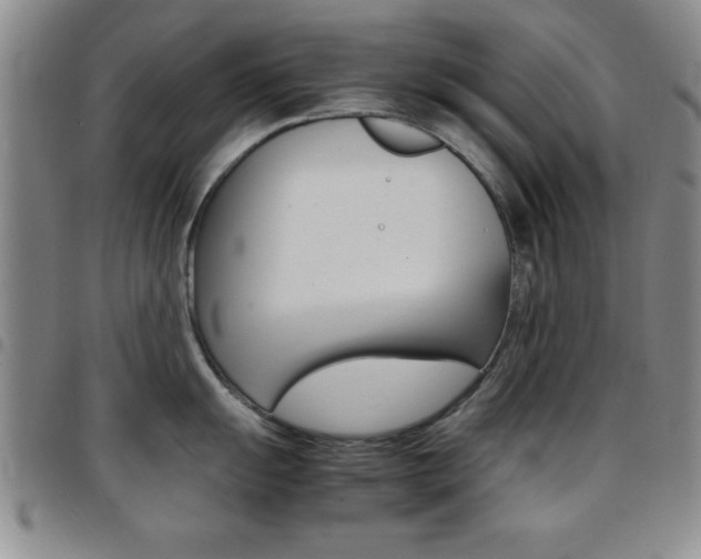 X0000097821055200803140802