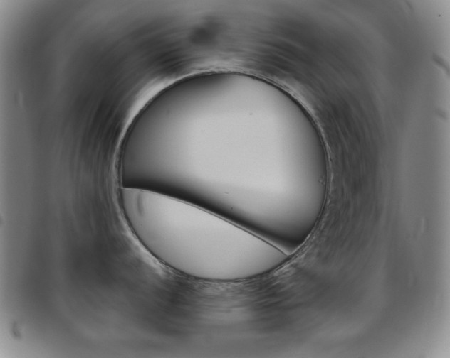 X0000097821056200803140802