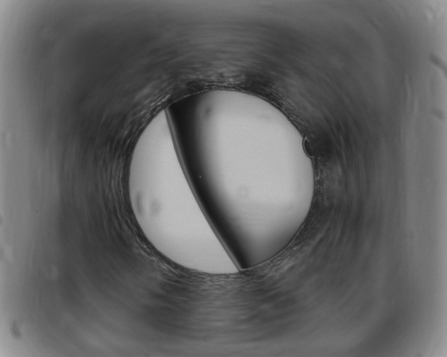 X0000097821058200803140801