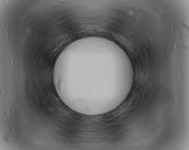 X0000097821060200803140801