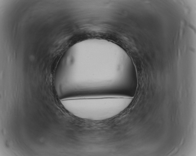 X0000097821061200803140801