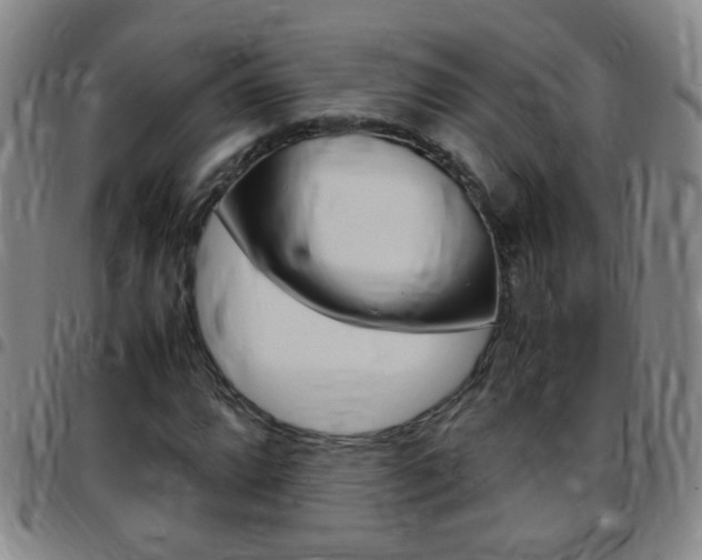 X0000097821064200803140801