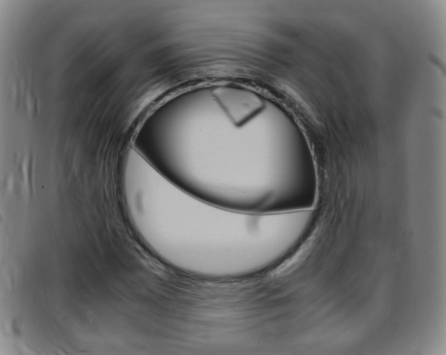 X0000097821065200803140801