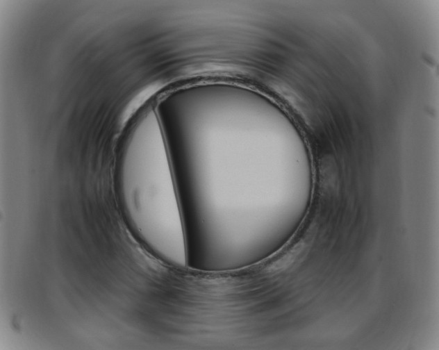 X0000097821066200803140801