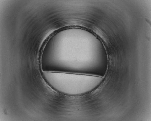 X0000097821068200803140801