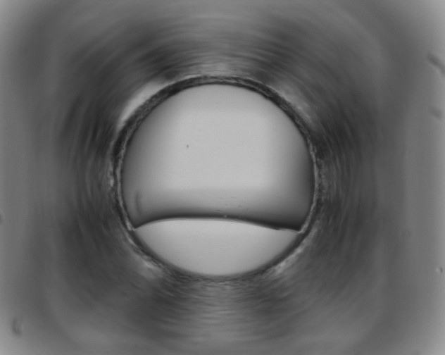 X0000097821070200803140801