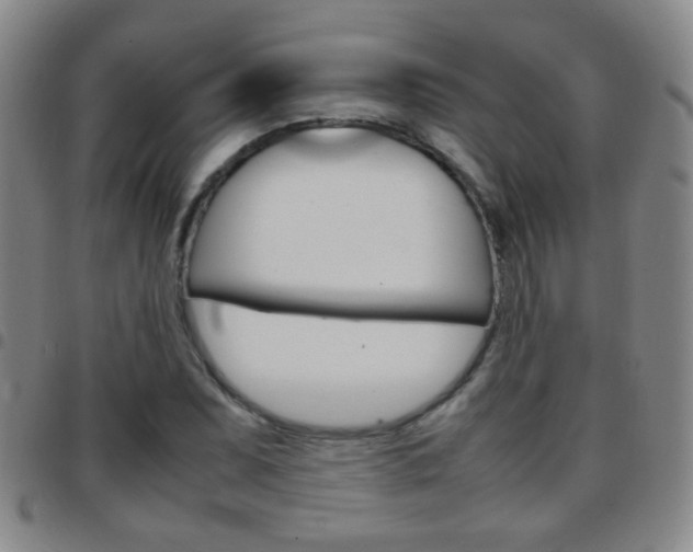 X0000097821071200803140801