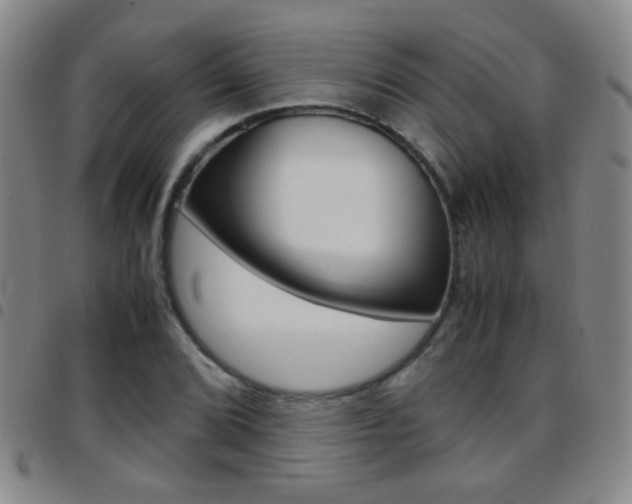 X0000097821072200803140801