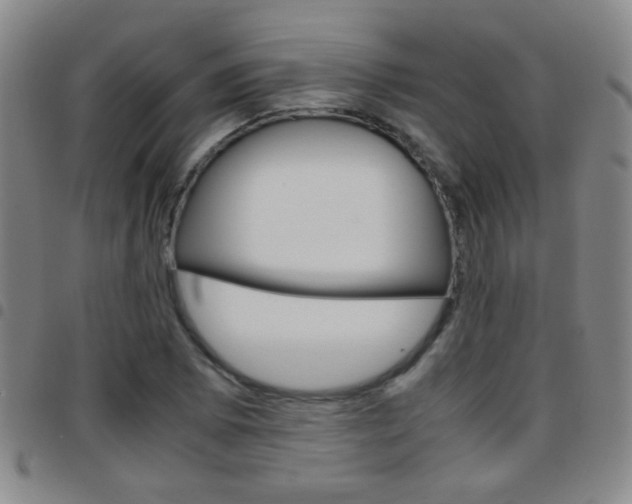 X0000097821073200803140801