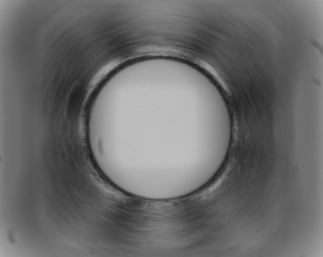 X0000097821074200803140801
