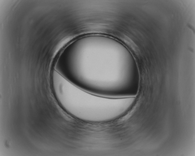 X0000097821077200803140801